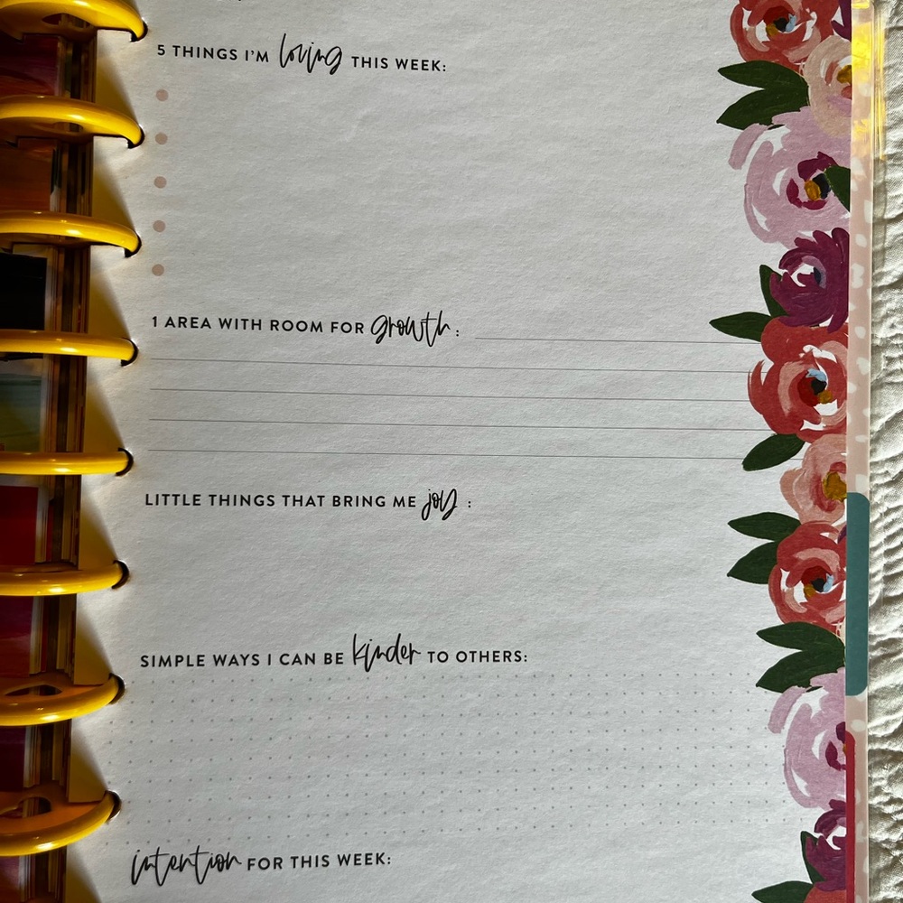 Colorful Striped Journal with Yellow Rings - Picture 8 of 9